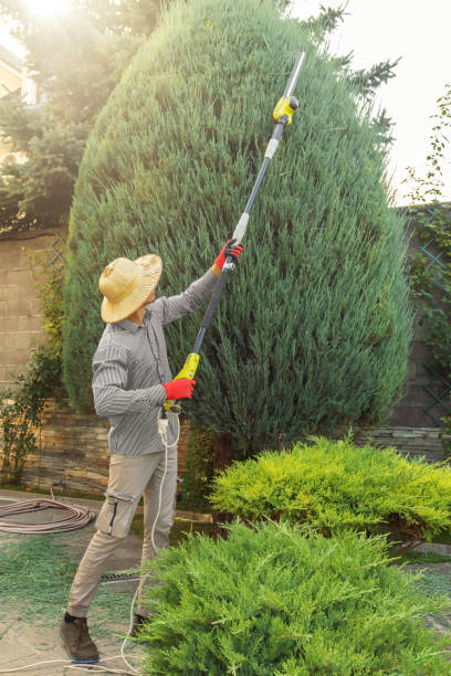 Lawn Watering Services in Cle Elum, WA